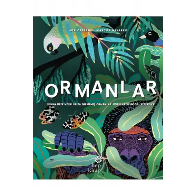 ORMANLAR - ÜZERİNDEKİ BALTA GİRMEMİŞ ORMANLAR