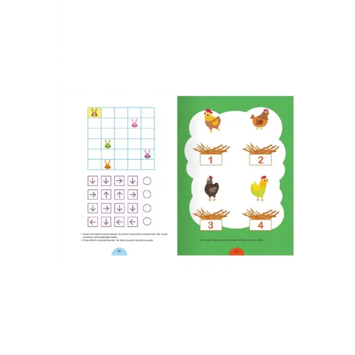 4 + Yaş Kavramlarla Etkinlik