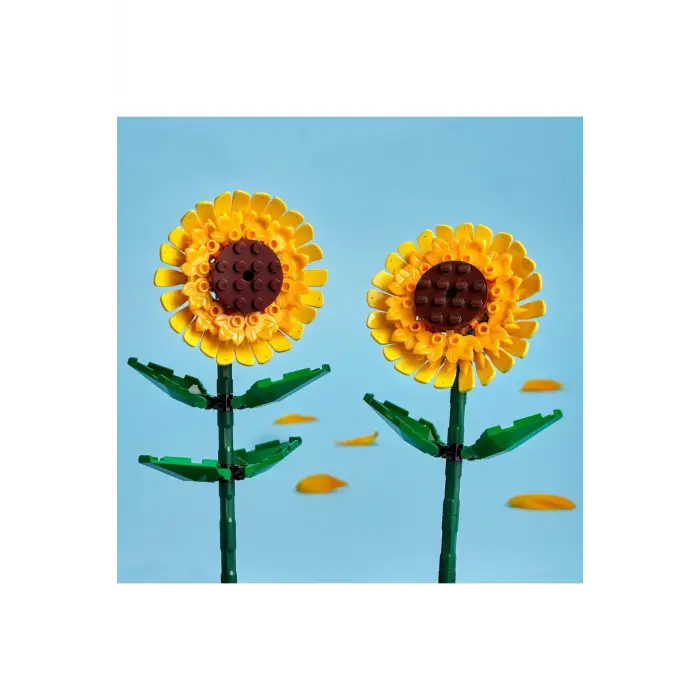 40524 Iconic Ayçiçeği