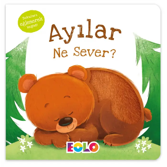 Dokun Hisset Ayılar Ne Sever?