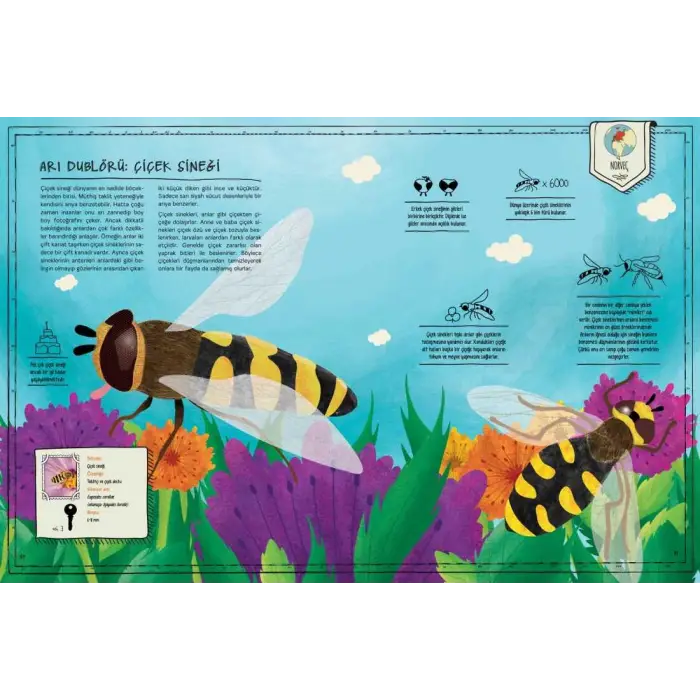 Böcek Atlası (Ciltli) Harita ve Çıkartma Hediyeli