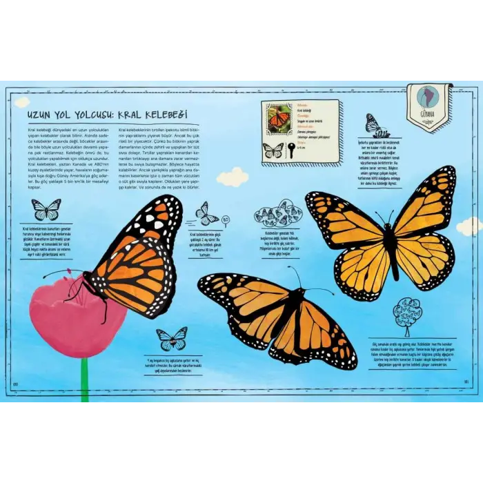 Böcek Atlası (Ciltli) Harita ve Çıkartma Hediyeli