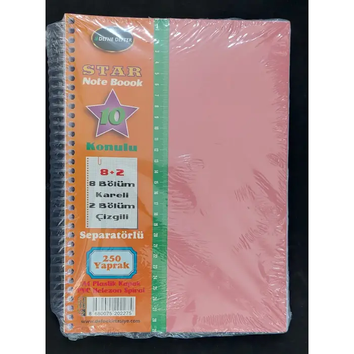 A4 AYRAÇLI DEFTER 8+2 250 YP PLASTİK KAPAK