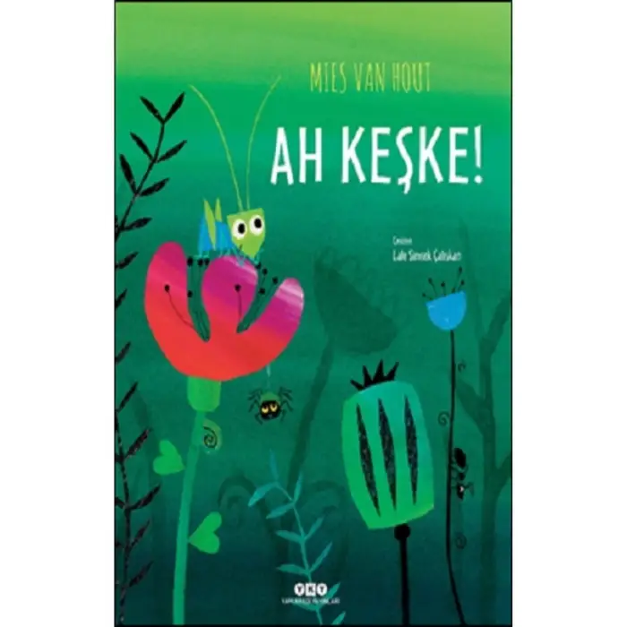Ah Keşke! kitabı / Mies Van Hout / Yapı Kredi Yayınları