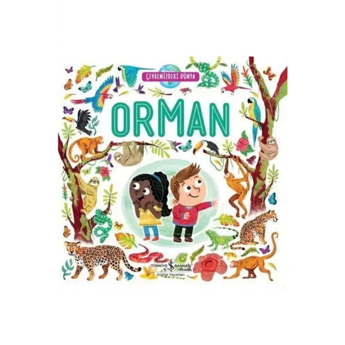 Çevremizdeki Dünya Orman