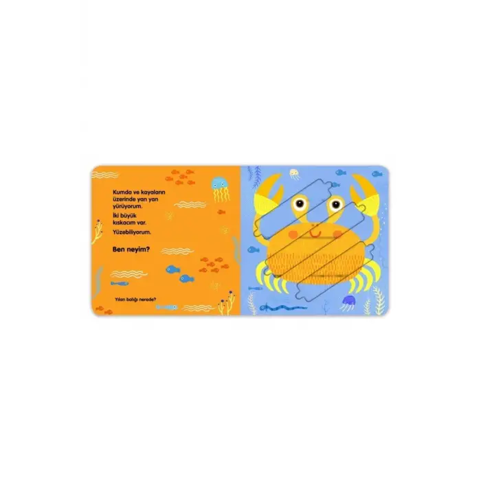 Denizdeki Canlılar - Hareketli Kitap