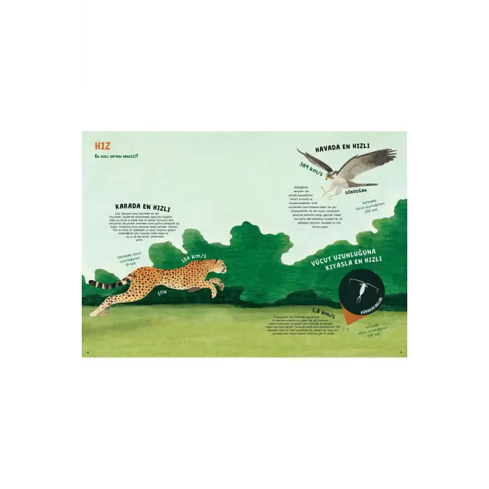 Hayvani Rekorlar Kitabı