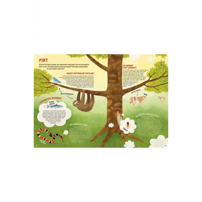 Hayvani Rekorlar Kitabı