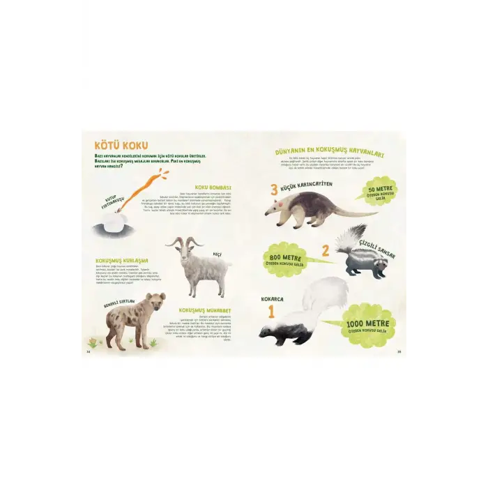 Hayvani Rekorlar Kitabı