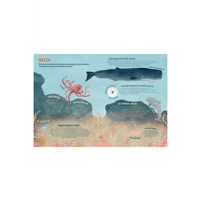 Hayvani Rekorlar Kitabı