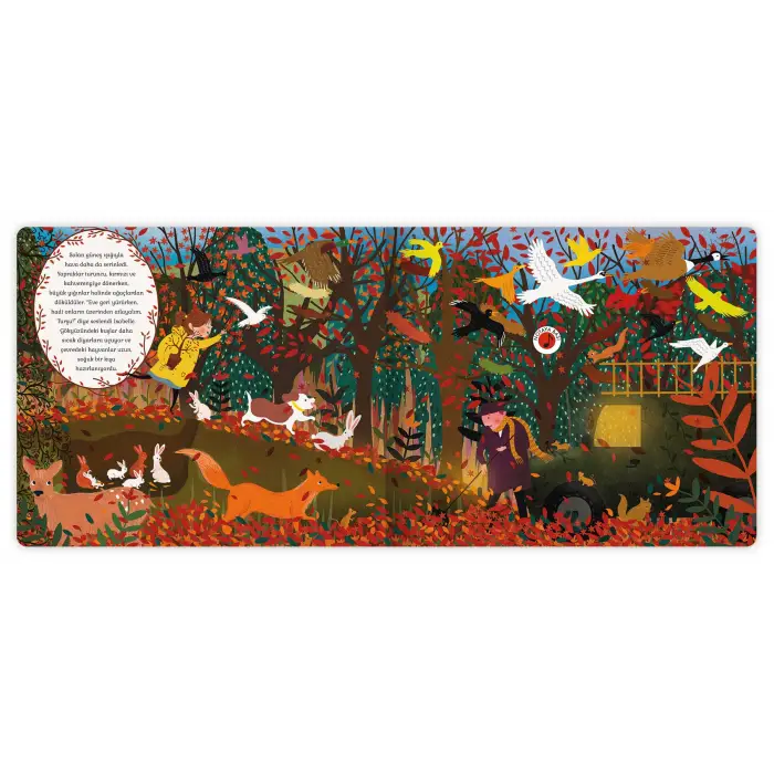 Hikâye Orkestrası – Bir Günde Dört Mevsim