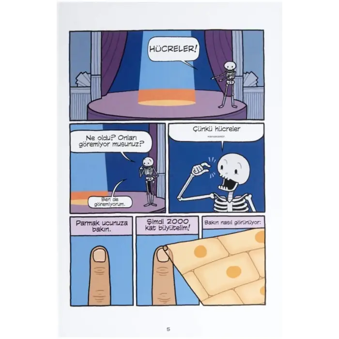 Insan Vücudu Tiyatrosu