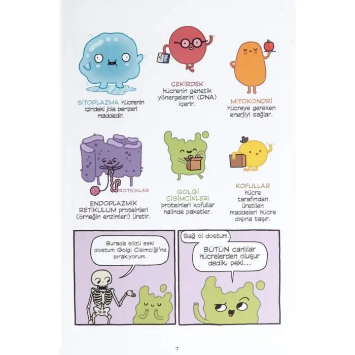 Insan Vücudu Tiyatrosu