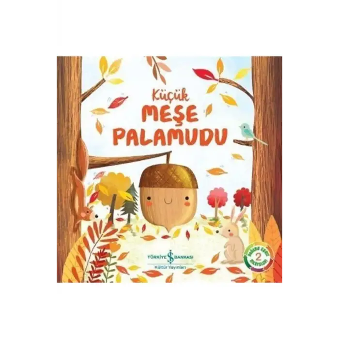 Küçük Meşe Palamudu