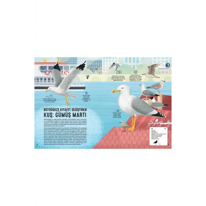 Kuş Atlası (ciltli)