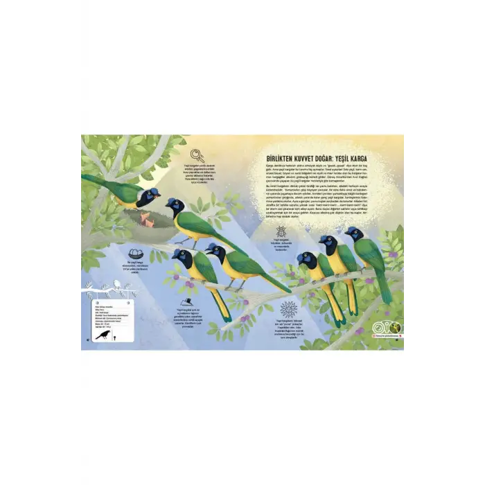 Kuş Atlası (ciltli)