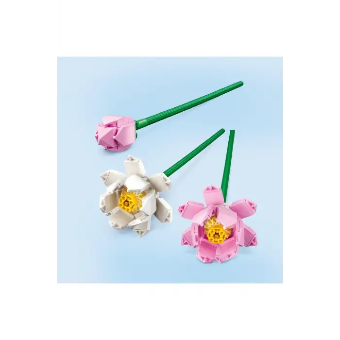 Lotus Çiçekleri 40647