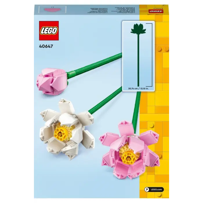 Lotus Çiçekleri 40647