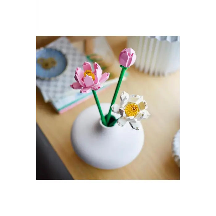 Lotus Çiçekleri 40647