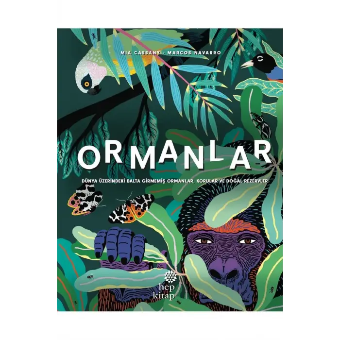 ORMANLAR - ÜZERİNDEKİ BALTA GİRMEMİŞ ORMANLAR