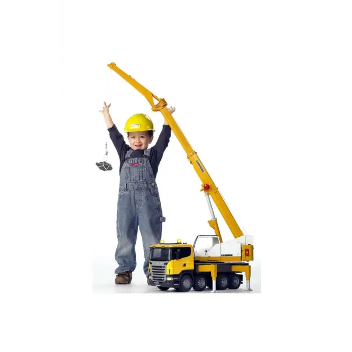 Scania R Serisi Liebherr Vinçli Kamyon