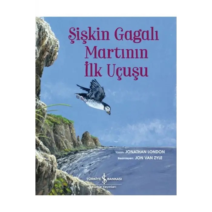 Şişkin Gagalı Martının Ilk Uçuşu