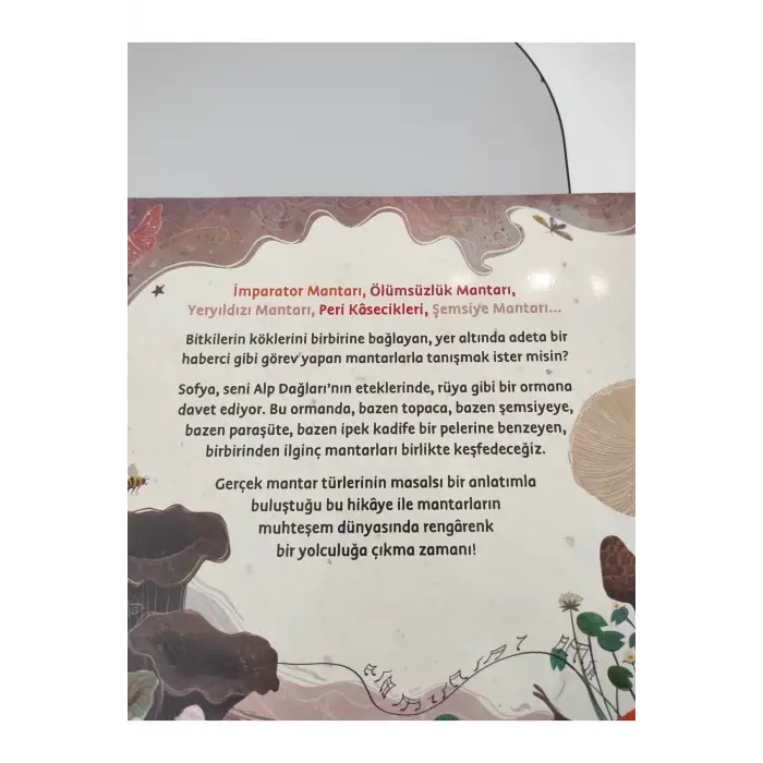 Sofyanın Mantar Valsi