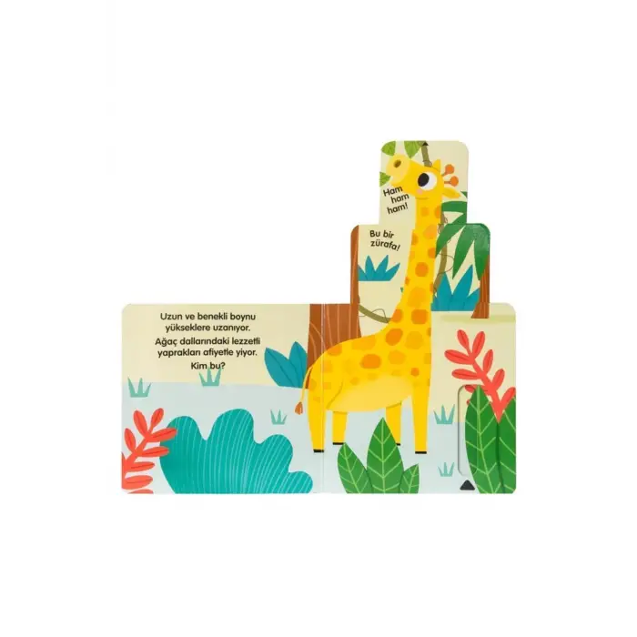 Sürgülü Kitap - Vahşi Doğada Yaşam