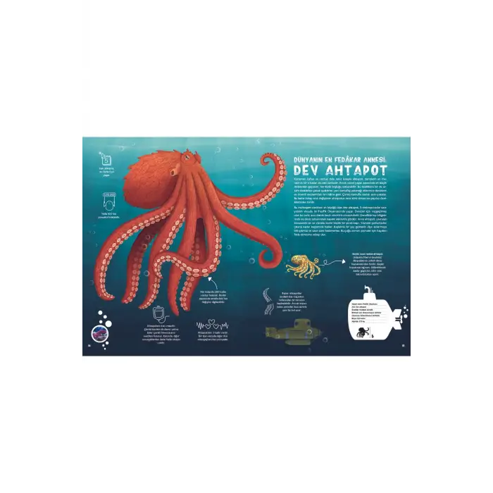 Taze Kitap Su Altı Atlası
