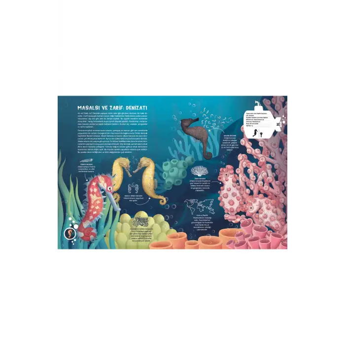 Taze Kitap Su Altı Atlası