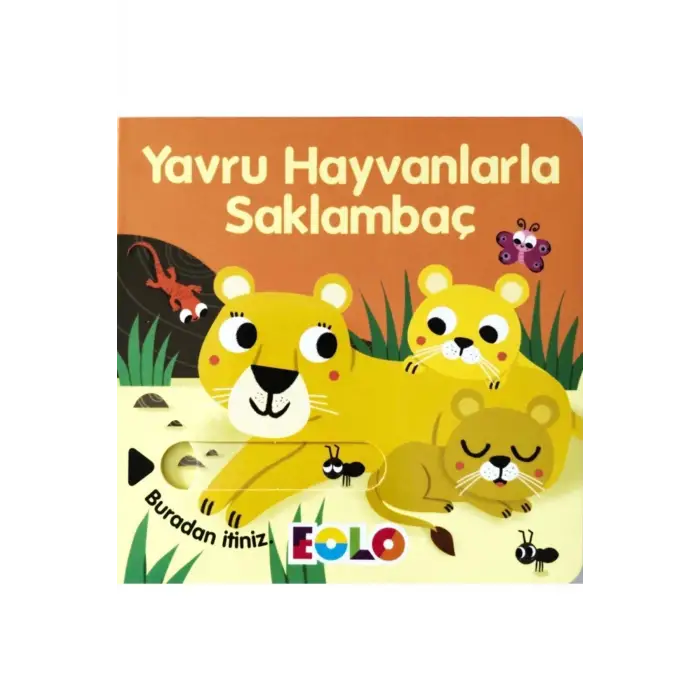 Yavru Hayvanlarla Saklambaç
