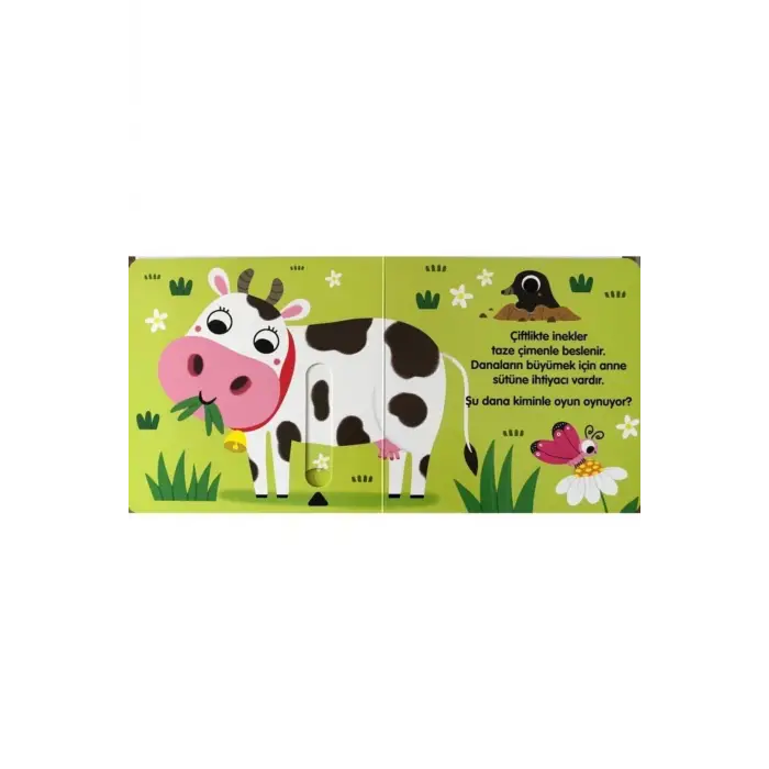 Yavru Hayvanlarla Saklambaç