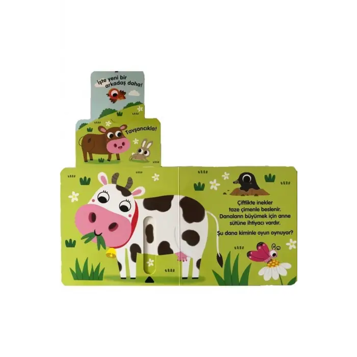 Yavru Hayvanlarla Saklambaç