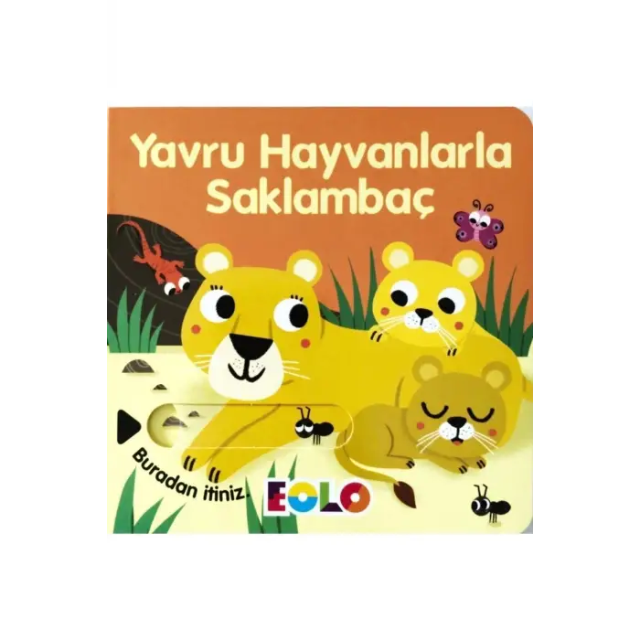 Yavru Hayvanlarla Saklambaç