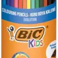 Bic Evolution Kuru Boya Kalemi 24+1 Metal Tüp