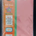 A4 AYRAÇLI DEFTER 8+2 250 YP PLASTİK KAPAK