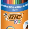 Bic Evolution Kuru Boya Kalemi 24+1 Metal Tüp