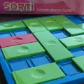 NewToys Sorti Zeka Ve Akıl Oyunu