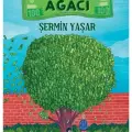 Para Ağacı kitabı - Şermin Yaşar - Taze Kitap