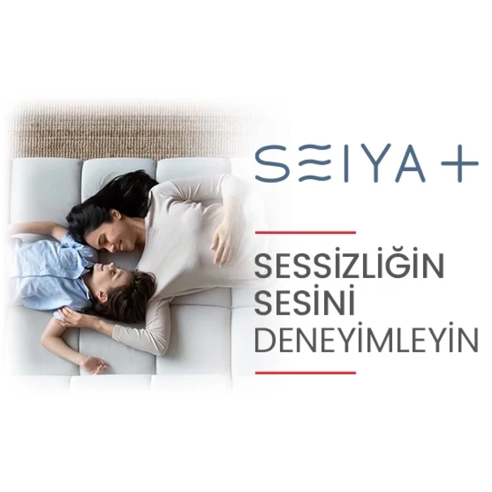 Toshiba Seiya Plus 24.000 BTU/h DC İnverter Duvar Tipi A++ Klima