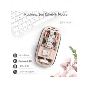 Pembe 501 Bt+ Wireless Mouse ZR1133