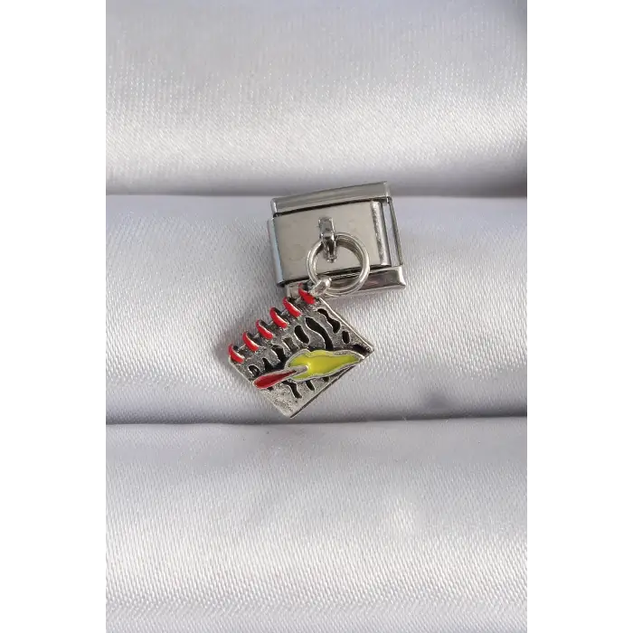 Defter Çelik Gümüş Renk Sallantı Figür Nomination Charm