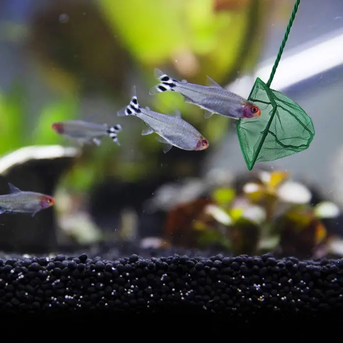 12 cm Ölçülü Akvaryum Balık Kepçesi