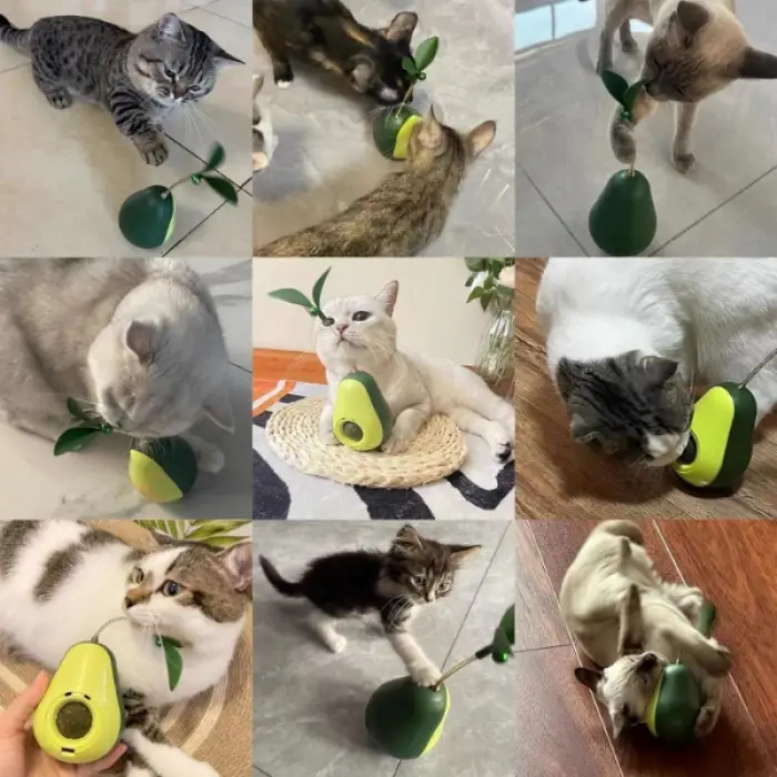 Kullanıma Uygun Avokado Şeklinde Kedi Naneli ve Mama Hazneli Kedi Oyuncağı