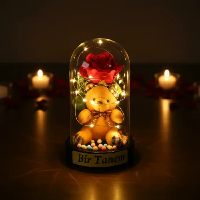 10 x 18 cm Kullanıma Uygun Ayıcıklı Ledli Gül Fanus