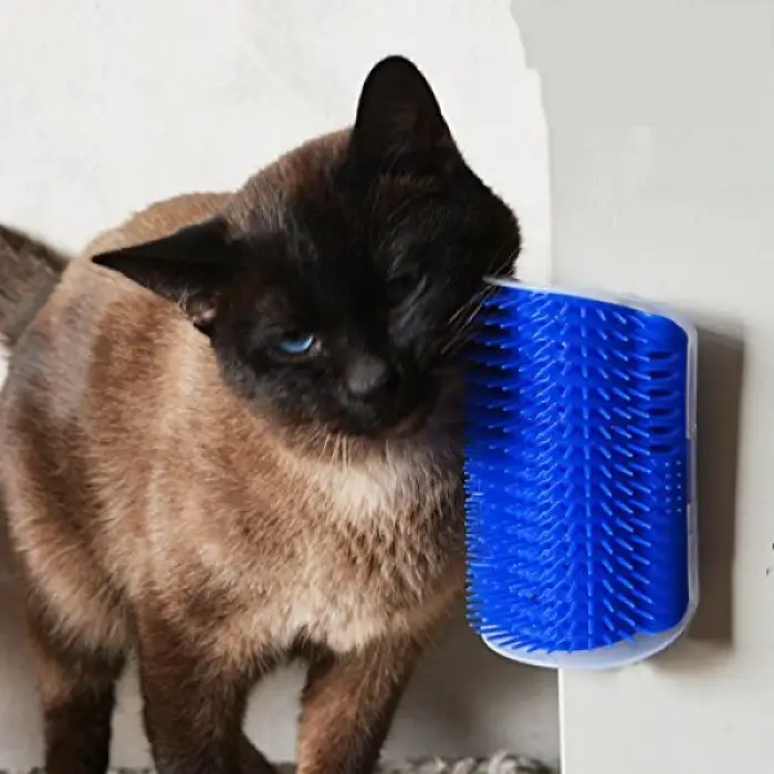 Kullanıma Uygun Cat It Kedi Kaşınma Aparatı