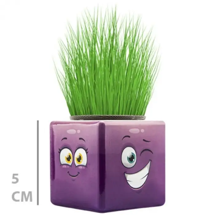 1 Adet Çim Adam Mini Küp Emoji Figürlü