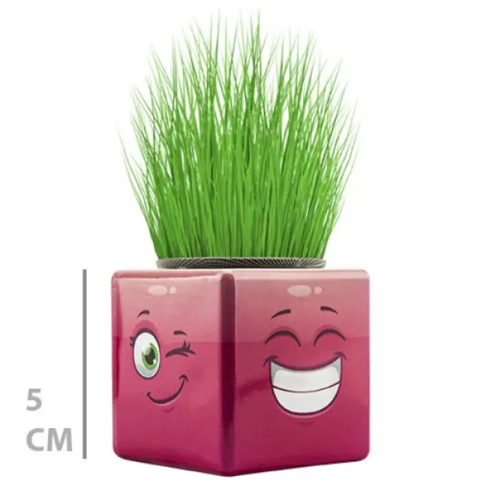 1 Adet Çim Adam Mini Küp Emoji Figürlü