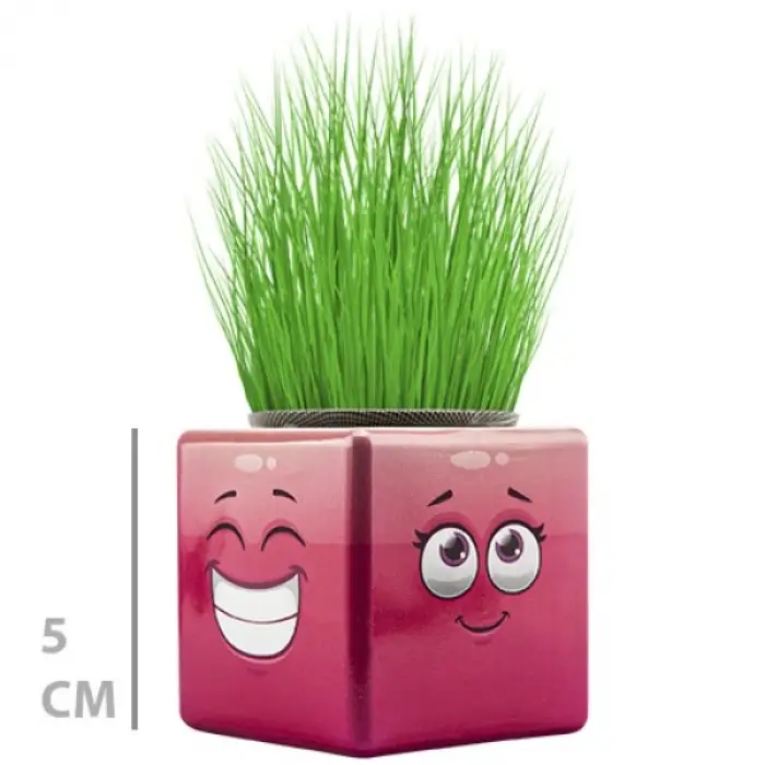 1 Adet Çim Adam Mini Küp Emoji Figürlü
