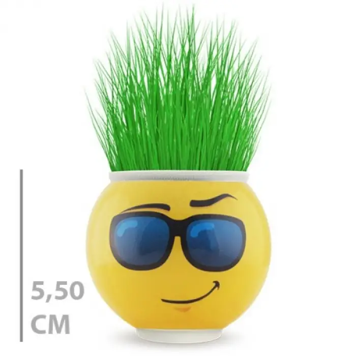1 Adet Çim Adam Saksı Emoji Figürlü